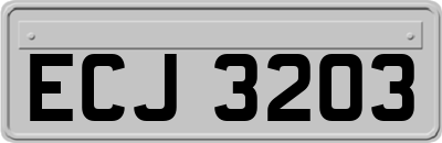 ECJ3203
