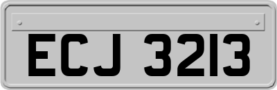 ECJ3213