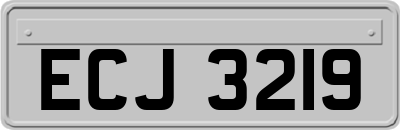 ECJ3219