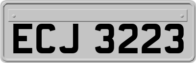 ECJ3223