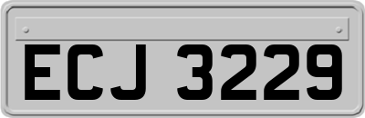 ECJ3229