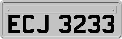 ECJ3233
