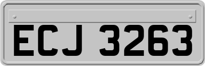 ECJ3263