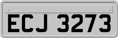 ECJ3273