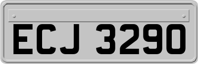 ECJ3290