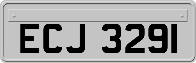 ECJ3291