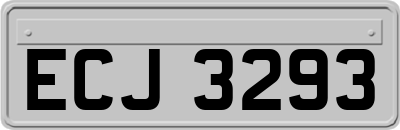 ECJ3293