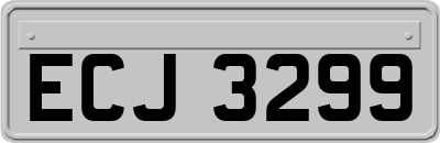 ECJ3299