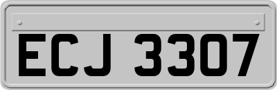 ECJ3307