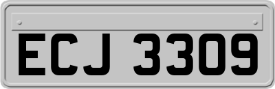 ECJ3309