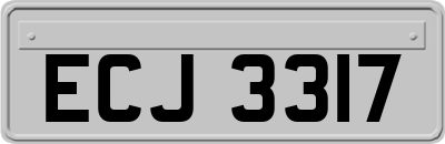 ECJ3317