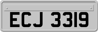 ECJ3319