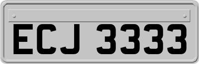 ECJ3333