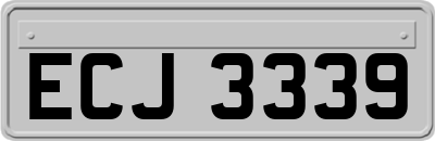 ECJ3339
