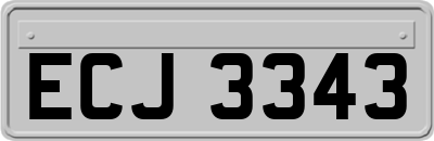 ECJ3343