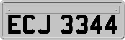 ECJ3344