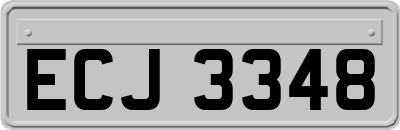 ECJ3348