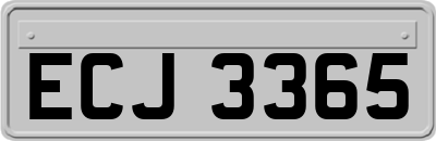 ECJ3365