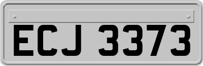 ECJ3373