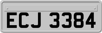 ECJ3384