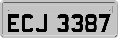 ECJ3387
