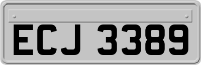 ECJ3389