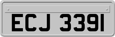 ECJ3391