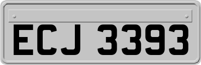 ECJ3393