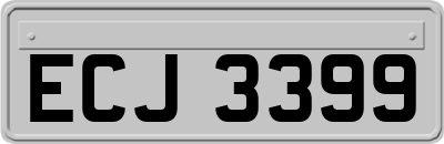 ECJ3399