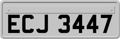 ECJ3447