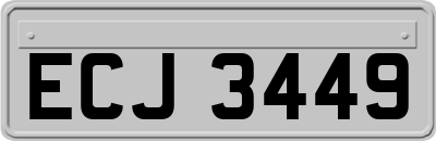 ECJ3449