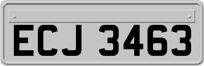ECJ3463