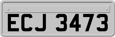 ECJ3473