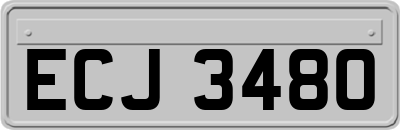ECJ3480