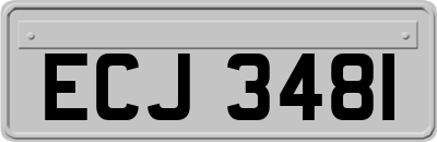 ECJ3481