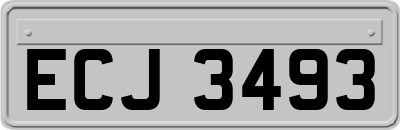 ECJ3493