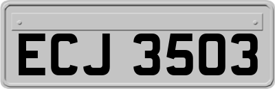 ECJ3503