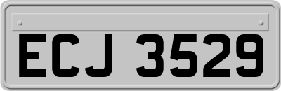 ECJ3529