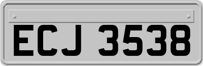 ECJ3538