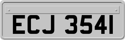 ECJ3541