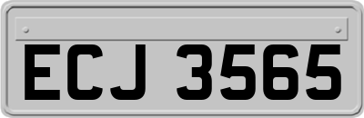 ECJ3565