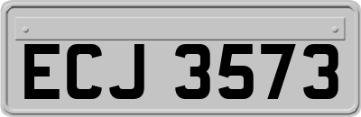 ECJ3573