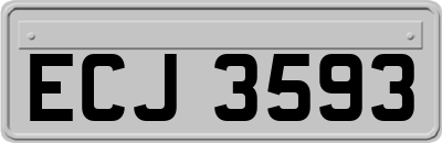 ECJ3593