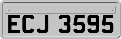 ECJ3595