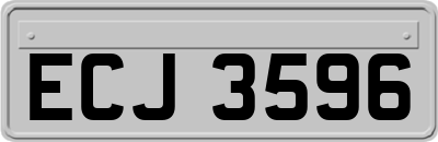 ECJ3596
