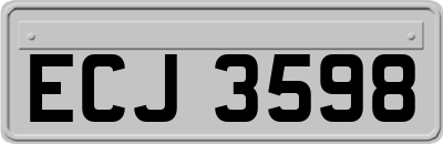 ECJ3598
