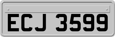 ECJ3599