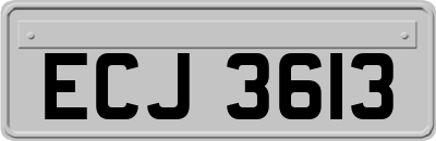 ECJ3613