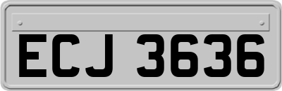 ECJ3636