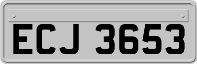 ECJ3653